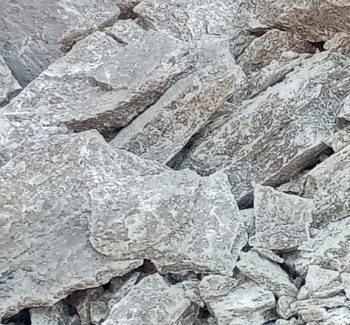 PHOTO-2023-08-01-14-05-13